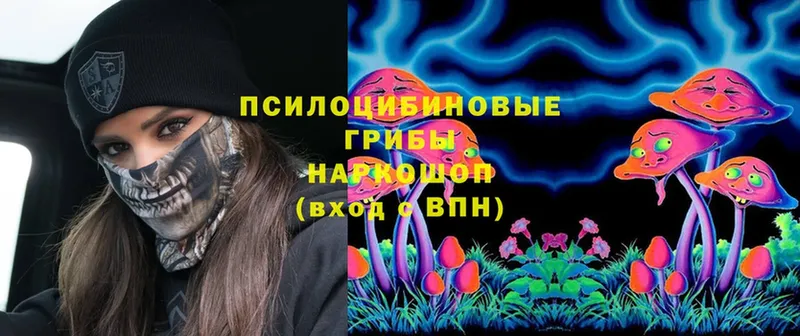 закладки  Закаменск  Псилоцибиновые грибы Psilocybe 